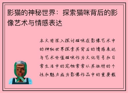 影猫的神秘世界：探索猫咪背后的影像艺术与情感表达